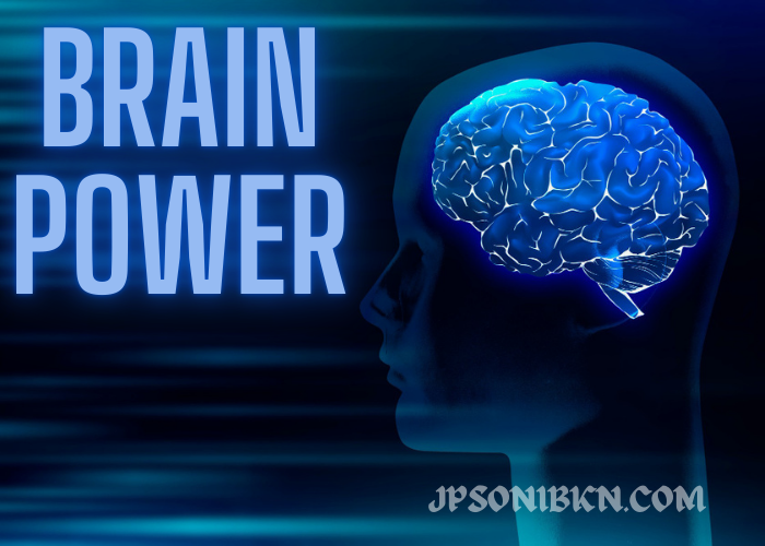 The Secret Weapon to Boost Your Brainpower